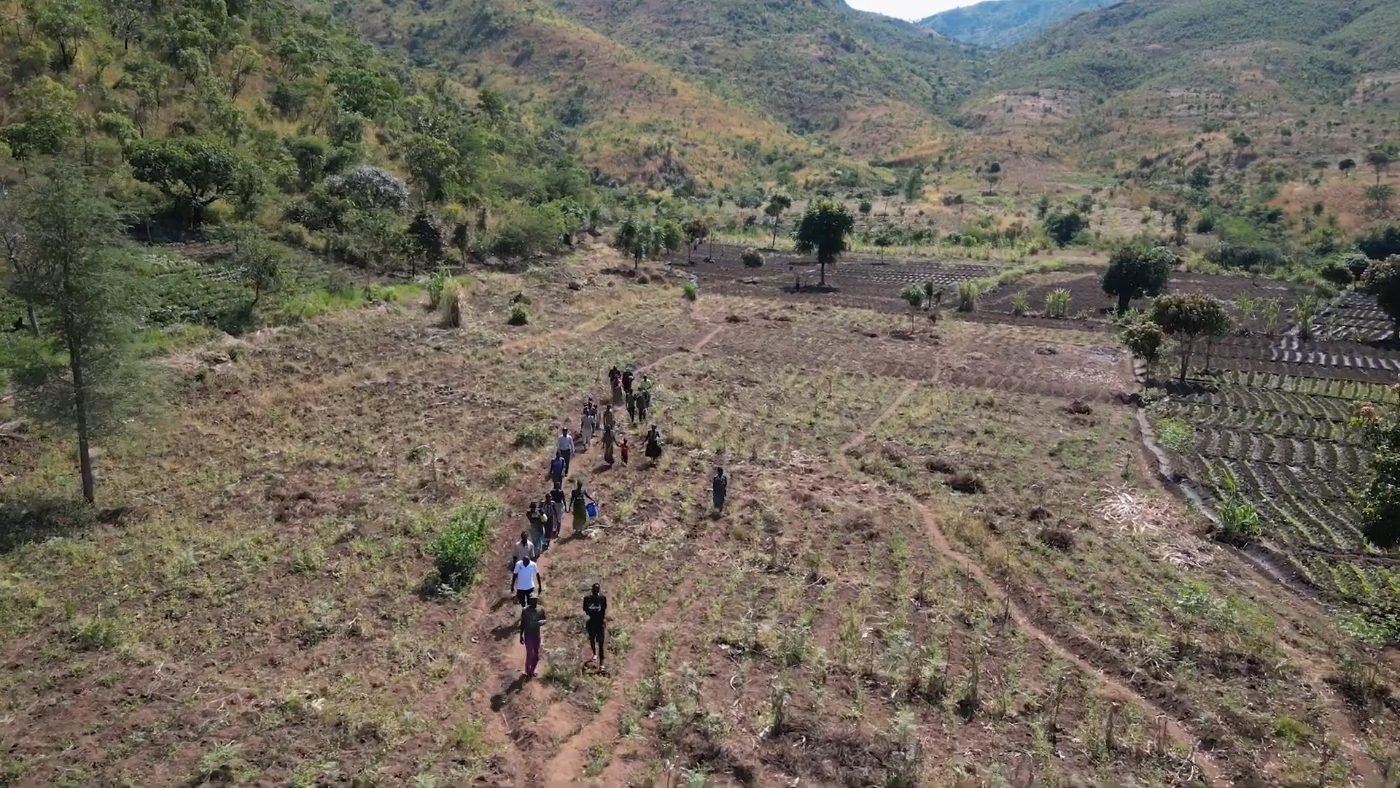 Farmers walking a path through a smallholder irrigation scheme in a Malawian valley, seen from above