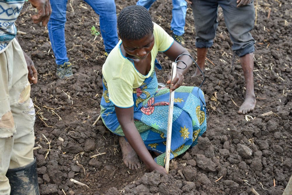 A woman farmer installing a Chameleon sensor in tilled soil at Khamalathu, Malawi